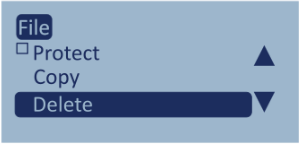 LabSat 4_Menu_File_Delete (v1.0 RE 23MAY2024)_300px.png
